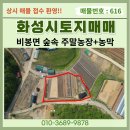 양노공인중개사사무소 이미지