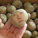 킹덤키즈-E 이미지