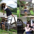 송월목장 이미지