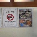 옻골로 | [대구 칠곡] 묵은지도리탕 맛집 "옻골기와집" 방갈로에서 즐긴 힐링 맛집