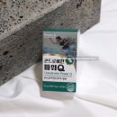본트바이오