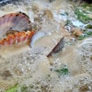 얼큰칼국수 이미지