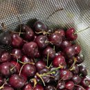 섬사랑펜션 이미지