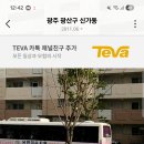 유엔미유치원 티스토리
