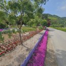 용대2리 이미지