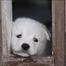 16 이미지