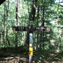 신내동-033 이미지