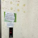 채담빛피부관리 네이버블로그