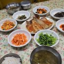 추자바다25시 이미지