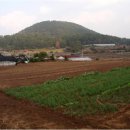 우리들자동차공업사 이미지