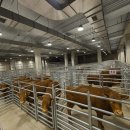 축산물시장(5) 이미지