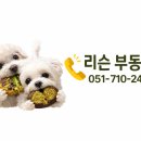 메이드공인중개사사무소 이미지