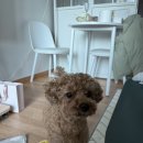 월영동267 이미지