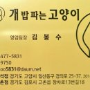 개밥파는고양이동양점
