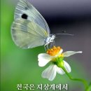 1구역 [7/27(목) 전도활동 출전식 용산역 이천역 신용산역] 이미지