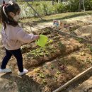 봄농약사 이미지