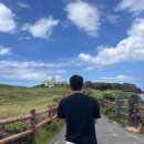 복음이네김밥만두 | [아기와 제주 한달살기] Day12 성산일출봉, 성산바다풍경, 섭지코지, 목장카페밭디, 복음이네김밥만두