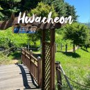 화천군수달연구센터 | 화천 여행 한국수달연구센터, 귀여운 수달과 걷기 좋은 둘레길