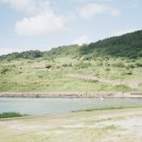 더피크닉