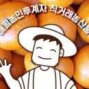 삼춘농산물