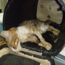 뉴욕당구장 이미지