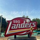 교촌치킨 인천SSG랜더스필드점 | &lt;SSG 랜더스 필드&gt; 야구장 데이트⚾️ : 좌석배치도 및 먹거리 추천 일반석 직관 후기