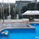 시흥시청사 이미지