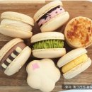 똥그리의봄날