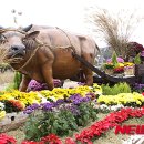 횡성한우 이미지