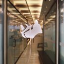 코뿔소이비인후과의원 이미지