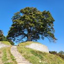 임천면행정복지센터 앞 주차장 이미지