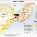 유달자원환경 | 한국 호랑이의 멸종