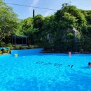 칠곡 수영장 이미지