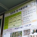 맹종죽테마파크1 | [거제맹종죽테마파크] 국내 유일 맹종죽테마공원, 거제도 힐링 여행지 아이랑 방문 후기(feat. 씨릉섬...