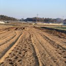 다연농장 이미지