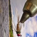 bead head pheasant tail cdc nymph 이미지