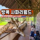 진남된섬(모바일) | 방콕 사파리월드 티켓 입장권 예약 할인 그랩 뷔페 후기