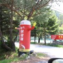 노을백숙