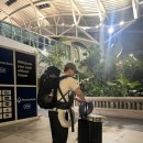 창주농장 | 발리 ☼ 도착하자마자 지프투어