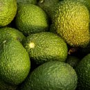 피트니스 209 이미지