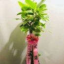 (주)오에스팜 이미지