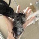 굳디컴퍼니 이미지