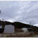경북청과상회 네이버블로그