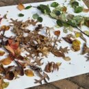 진영장등초등학교 이미지