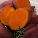 고구마PC 이미지