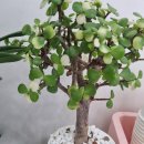 귀한보청기 청각언어재활센터 이미지