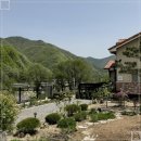 영월힐링숲펜션 이미지