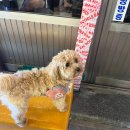 안녕 멈머야 이미지