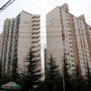 샤인공인중개사사무소 이미지