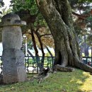 대농리마을회관 이미지